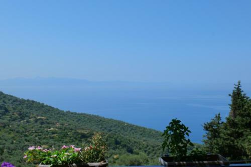 Bed & Breakfast Vila Panorama Piqeras