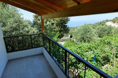 Bed & Breakfast Vila Panorama Piqeras