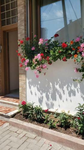 Apartamento Casa Di Lalota