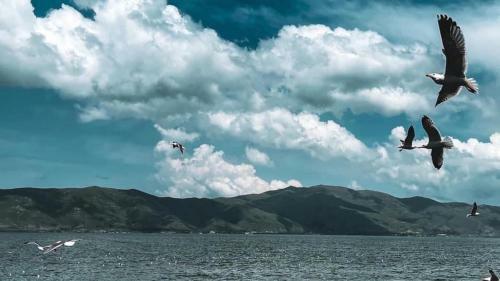 Apartamento Guest House At The Lake Sevan