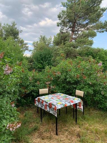 Apartamento Guest House At The Lake Sevan