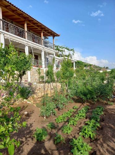 Villa On Rocks Qeparo