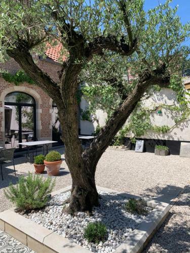 B&B Kleinen Bosch