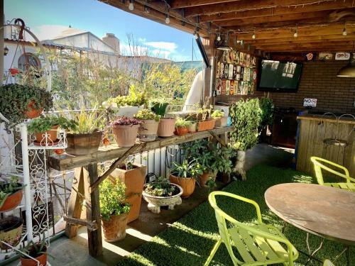 Hostal Coronado 420