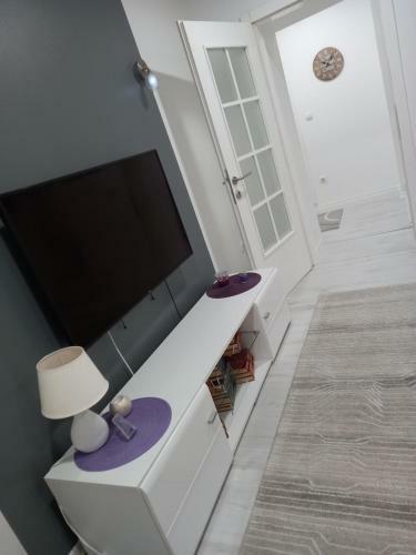 Aine Apartman U Centru Grada