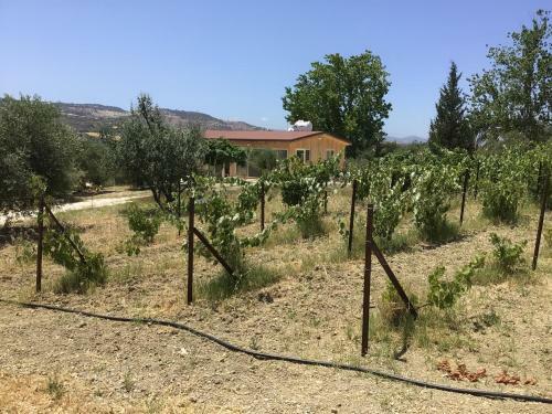 Pervolaris Cottages 2