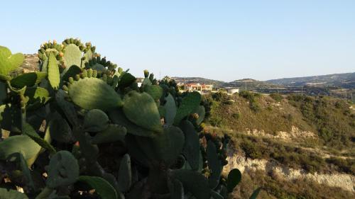 Pervolaris Cottages 2