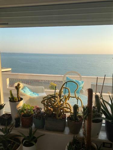 Aloe Apartment