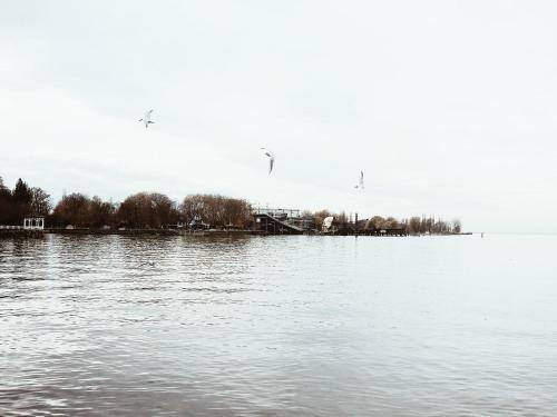 Apartamento Ferienwohnung Bregenz 6 Top 1