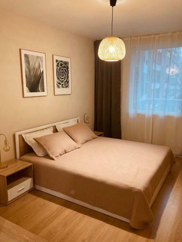 Pearl Apartments