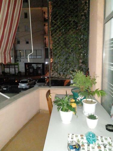 Apartamento Lemondoor