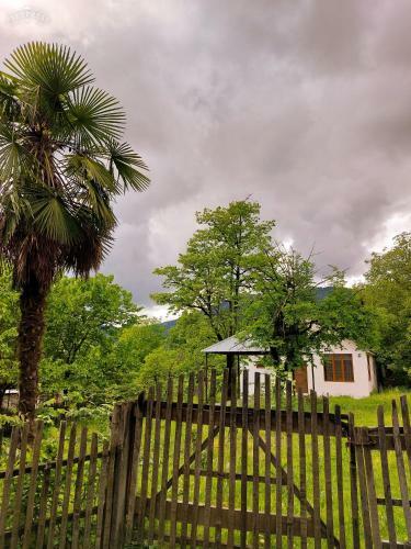 Vasalov House