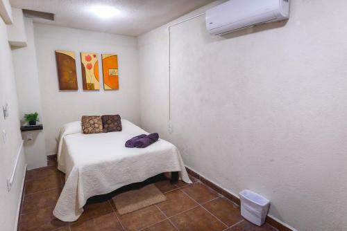 Apartamento Suite Con 2 Recamaras,2mini Splits, Parking Wifi 100 Mb, Cocina