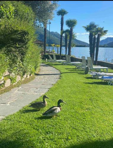 Apartamento Holiday On The Lake