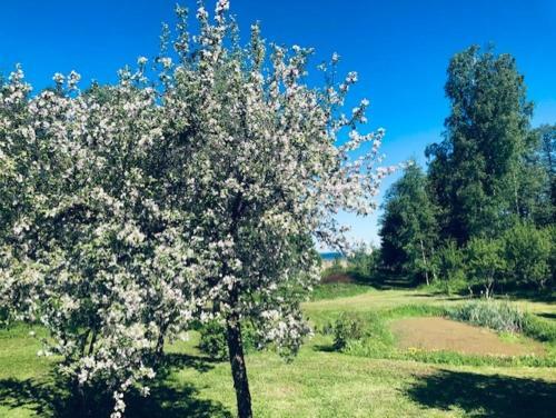 Apartamento Altja Villa -saunaga Puhkemaja