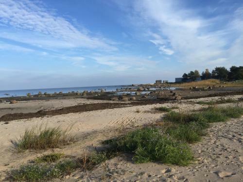 Apartamento Altja Villa -saunaga Puhkemaja