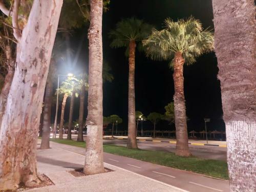Apartamento Seaside View 1