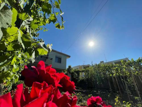 Apartamento Villa Licenji
