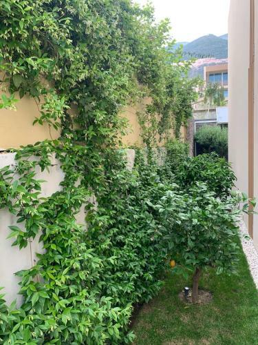 Apartamento Green Coast Resort &residences