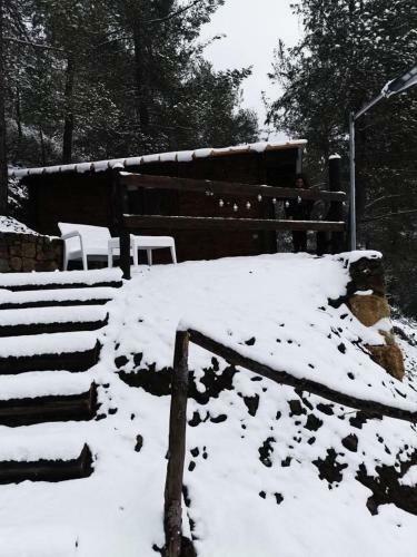 Bosco Paradiso