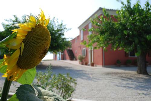 Agroturismo Masseria Le Due Colline