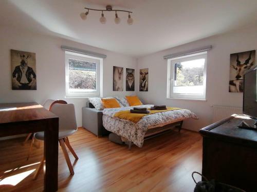 Apartamento Mountain-view Appartement