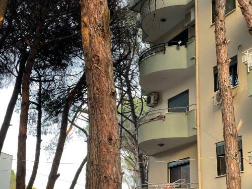 Apartament Golem Meikristian