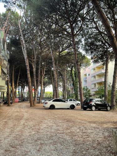 Apartament Golem Meikristian