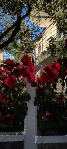 Apartamento Hasler Rooms