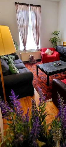 Apartamento Bright Studio Near Nato