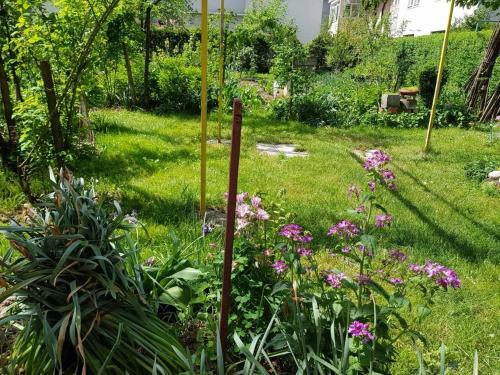 Apartamento Emina