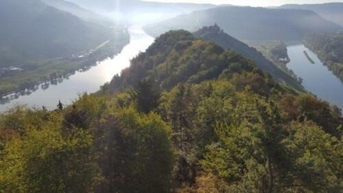 Apartamento Ferienwohnung Mosel