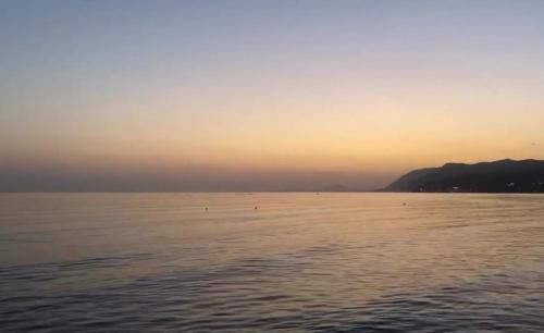 Apartment-hotel Sh�ngjin