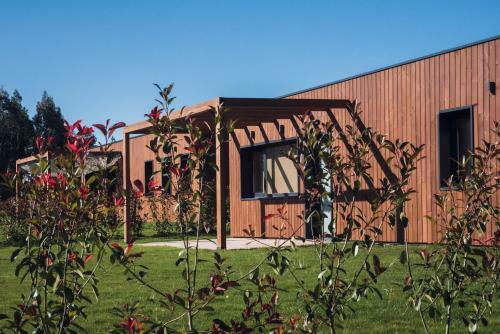Lodge Caba�as Beche Eco-camp