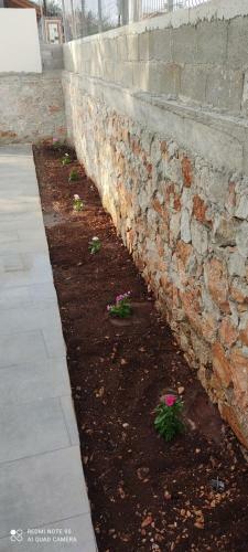 Apartamento M&j Home