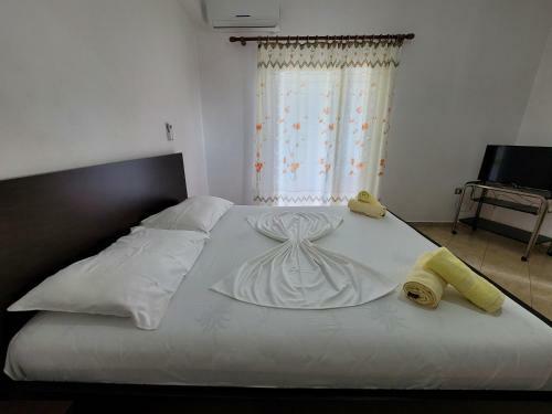 Hostal Guesthouse Albi