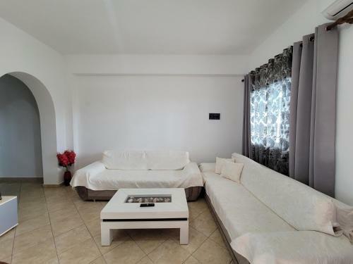 Hostal Guesthouse Albi