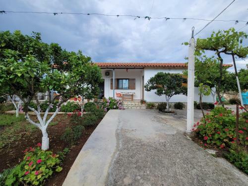 Hostal Guesthouse Albi