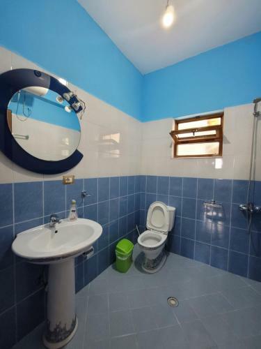 Hostal Guesthouse Albi