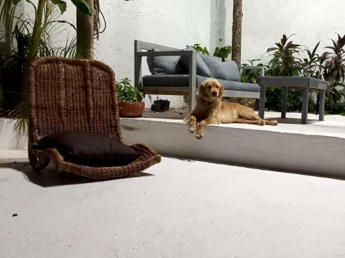 Hotel Distrito La 10