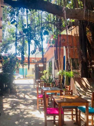 Hostal El Patio Hostel Tropical