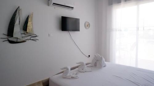 Harmony Apartment !