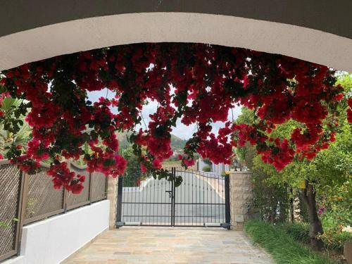 Luxury Villa 5 Bedrooms With Elite Services
