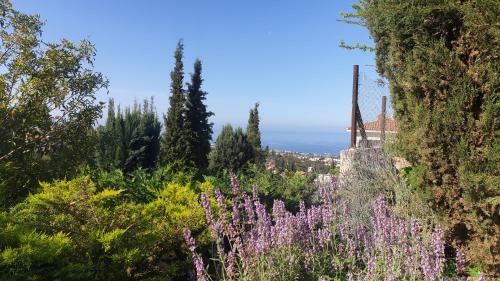 Kamares Ocean View Villa