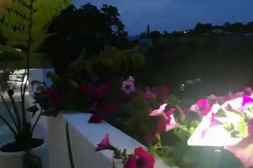Vista Al Viento, Hill View Villa En Cuernavaca 8px
