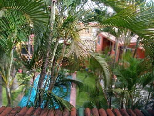 Hostal Posada Cocos