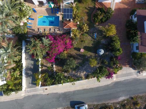 Coral Cypria Villa