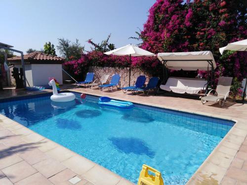 Coral Cypria Villa