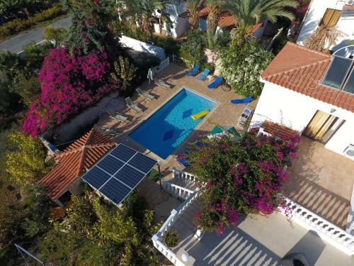 Coral Cypria Villa