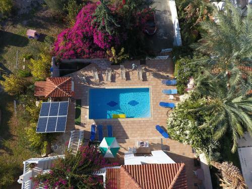Coral Cypria Villa